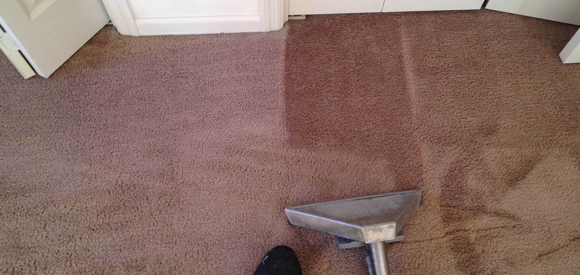 Carpet Beach Blvd Jacksonville Fl Carpet Vidalondon